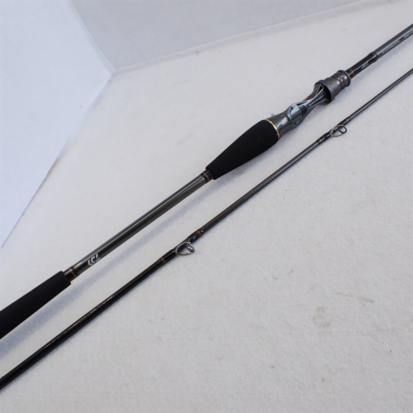 １９メタリア　タチウオテンヤＳＰ７３－１９５